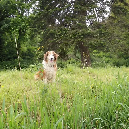 Lantställe Rossnaree House Slane