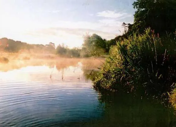 בית כפרי Rossnaree House *