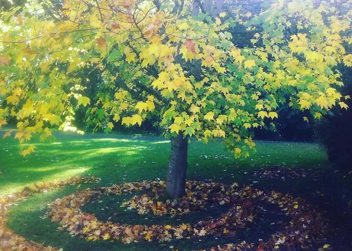 בית כפרי Rossnaree House