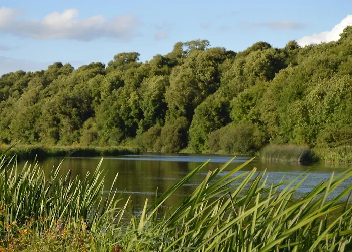 Rossnaree House בית כפרי *